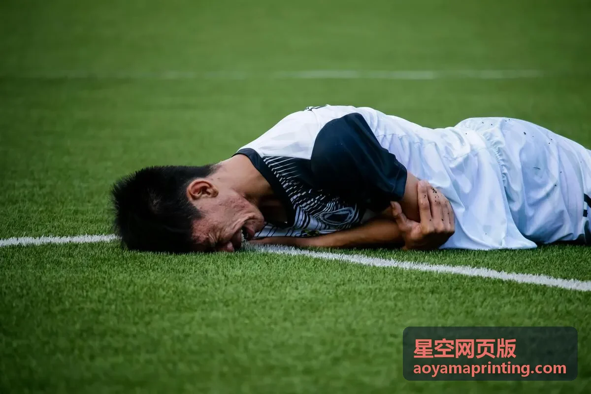 星空网页版售后工单处理与订单进度查询界面